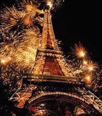 Новый год в Париже и глоток свободы!  (3 дней, 2 ночи в отеле)
