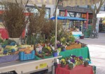 Весенний рынок города Лёррах