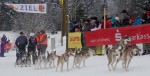 Гонки на собачьих упряжках 2012 в Тодтмосе-1847