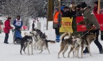 Гонки на собачьих упряжках 2012 в Тодтмосе-1868