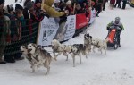 Гонки на собачьих упряжках 2012 в Тодтмосе-1922